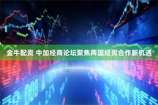 金牛配资 中加经商论坛聚焦两国经贸合作新机遇